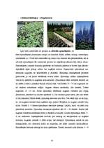 Referāts 'Puķkopība 2', 9.