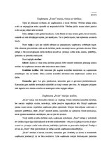 Eseja 'Uzņēmuma "Fazer" misijas analīze', 1.