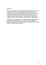 Konspekts 'Runas veidu analīze Saeimas debatēs. Laikraksta recenzija', 12.