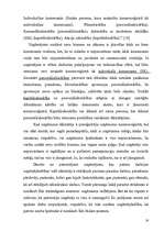 Referāts 'Uzņēmējdarbības organizēšana un plānošana', 16.