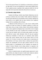 Referāts 'Uzņēmējdarbības organizēšana un plānošana', 23.