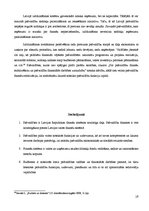 Referāts 'Pašvaldību finanšu vieta Latvijas finanšu sistēmā', 19.