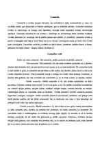 Konspekts 'Uzmanība', 2.