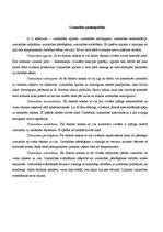 Konspekts 'Uzmanība', 3.