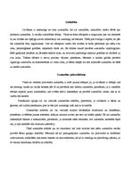 Konspekts 'Uzmanība', 4.