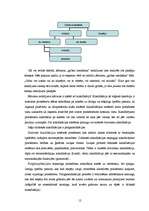 Referāts 'Jēdziena apjoma iedalīšana', 12.