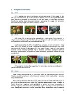 Referāts 'Aukštaitijas Nacionālais parks Lietuvā', 5.