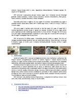 Referāts 'Aukštaitijas Nacionālais parks Lietuvā', 6.