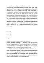 Referāts 'Fantastiskākie tūrisma objekti Eirāzijā', 5.