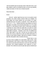 Referāts 'Fantastiskākie tūrisma objekti Eirāzijā', 13.