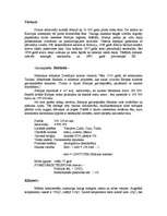 Referāts 'Minigolfa laukumu izveide Somijā', 6.