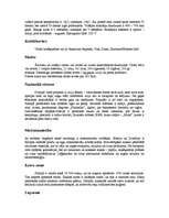 Referāts 'Minigolfa laukumu izveide Somijā', 7.