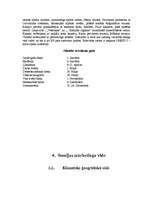 Referāts 'Minigolfa laukumu izveide Somijā', 9.