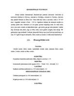 Referāts 'Minigolfa laukumu izveide Somijā', 10.