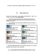 Referāts 'Minigolfa laukumu izveide Somijā', 11.