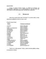 Referāts 'Minigolfa laukumu izveide Somijā', 16.