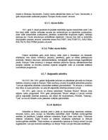 Referāts 'Minigolfa laukumu izveide Somijā', 28.