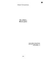 Biznesa plāns 'Biznesa plāns skeitborda piederumu veikalam', 1.