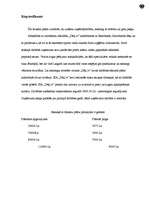 Biznesa plāns 'Biznesa plāns skeitborda piederumu veikalam', 3.