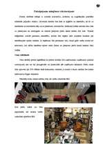 Biznesa plāns 'Biznesa plāns skeitborda piederumu veikalam', 5.