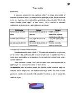 Biznesa plāns 'Biznesa plāns skeitborda piederumu veikalam', 6.