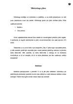 Biznesa plāns 'Biznesa plāns skeitborda piederumu veikalam', 8.