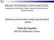 Prakses atskaite 'Starptautisko ekonomisko sakaru organizēšana un vadīšana', 36.