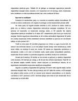 Referāts 'Eiropas Savienības darbības un pozicionēšanās Afganistānas karā', 11.