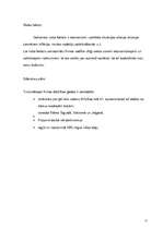 Referāts 'Finanšu attīstības stratēģijas izstrāde uzņēmumam', 11.