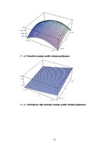 Diplomdarbs 'Mezglu metode 2D Šredingera tipa vienādojuma skaitliskajiem aprēķiniem', 55.