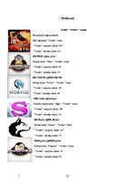 Referāts 'Entuziastu hokeja līgas un tās 2011./2012.gada sezonas komandu komunikācija "Twi', 12.