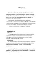 Referāts 'Kursa darbs. Reklāmu analīze', 5.