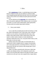 Referāts 'Kursa darbs. Reklāmu analīze', 8.