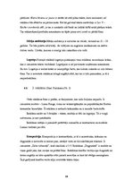Referāts 'Kursa darbs. Reklāmu analīze', 19.