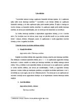 Referāts 'Finanšu rādītāju analīze SIA "Vision express"', 4.