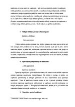 Referāts 'Finanšu rādītāju analīze SIA "Vision express"', 7.