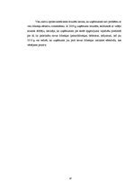 Referāts 'Finanšu rādītāju analīze SIA "Vision express"', 18.