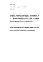 Referāts 'Finanšu rādītāju analīze SIA "Vision express"', 20.