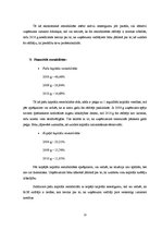 Referāts 'Finanšu rādītāju analīze SIA "Vision express"', 23.