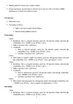 Paraugs 'Veselības sporta treniņu programma', 3.