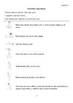 Paraugs 'Veselības sporta treniņu programma', 7.