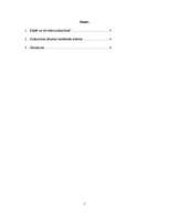 Eseja 'Subkultūras', 2.