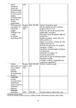 Referāts 'Nacionālās politikas, pilsoniskās sabiedrības un integrācijas politikas plānošan', 32.