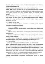 Referāts 'Salaspils 1.vidusskolas skolēnu un skolotāju tūrisma maršruti', 8.