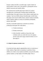 Referāts 'Peļņa un tās rādītāji', 11.