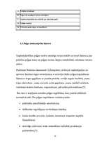 Referāts 'Peļņa un tās rādītāji', 17.