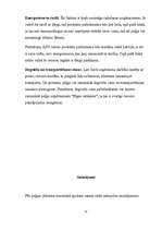 Referāts 'Peļņa un tās rādītāji', 21.