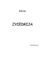 Referāts 'Zviedrija', 1.