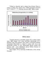 Referāts 'Zviedrija', 5.