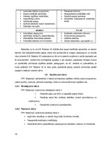 Biznesa plāns 'Biznesa plāns "Madara 16"', 10.